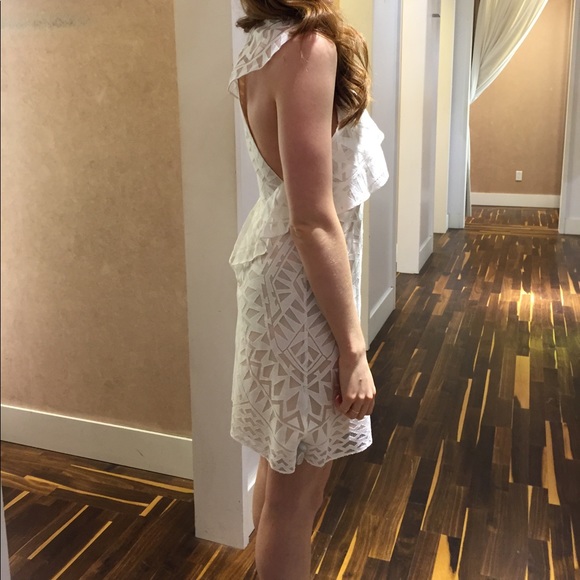 BCBGMaxAzria White/Nude Lace Dress - Picture 6 of 6